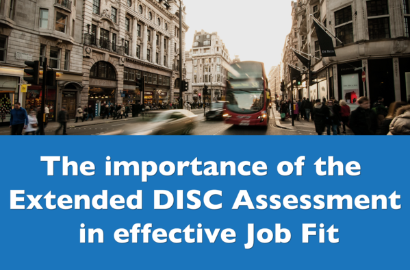 The Importance of the Extended DISC Assessment in Effective Job Fit