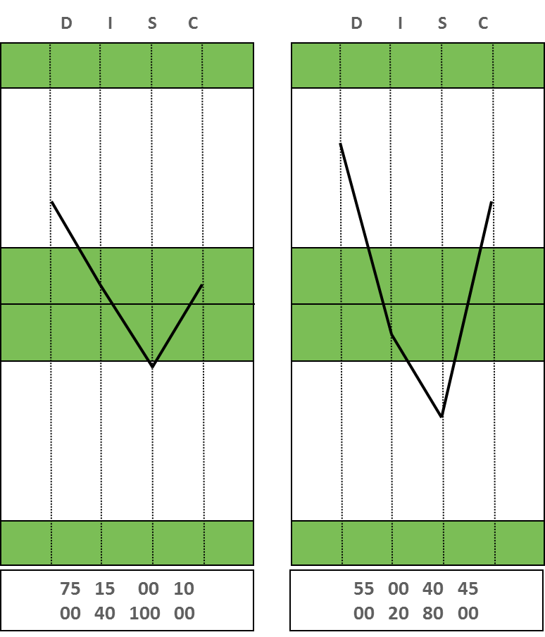 CEO DISC Profile